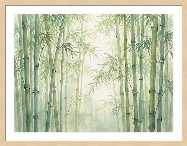 Bamboo Forest Serenity