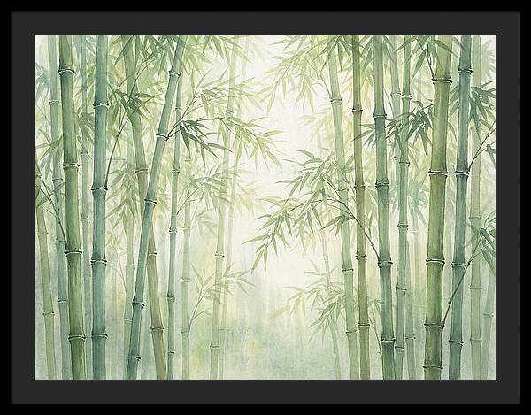 Bamboo Forest Serenity