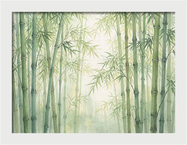 Bamboo Forest Serenity
