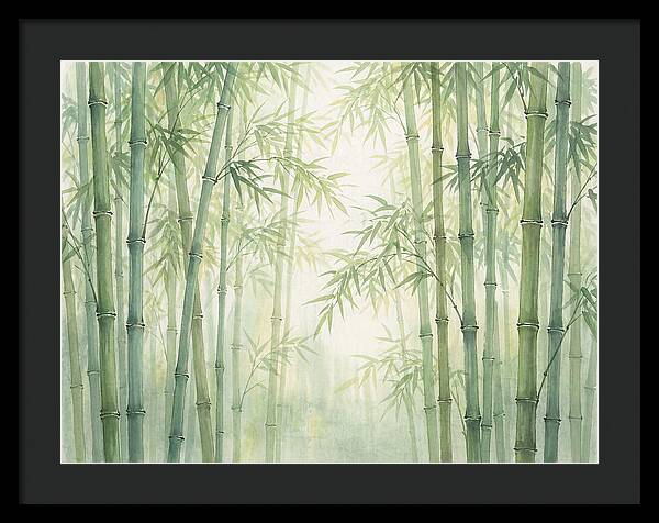 Bamboo Forest Serenity