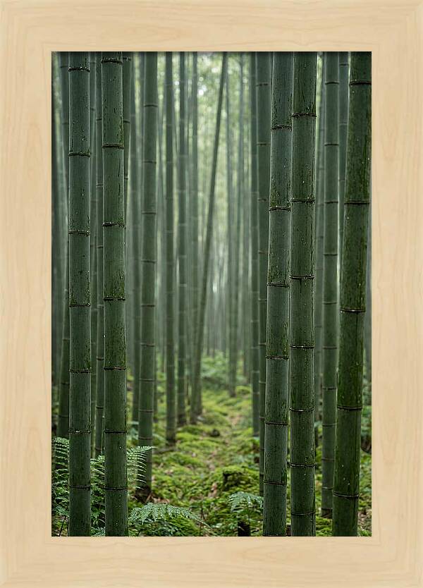 Bamboo Grove Serenity