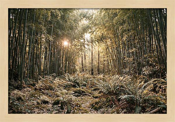 Bamboo Grove Serenity