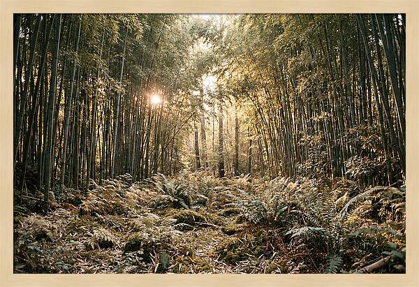 Bamboo Grove Serenity