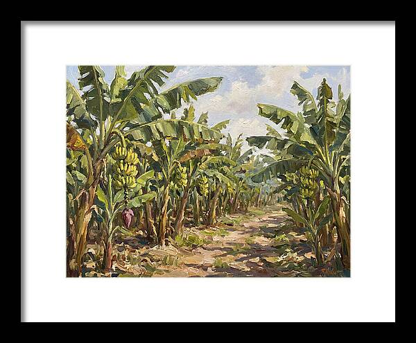 Banana Plantation Serenity