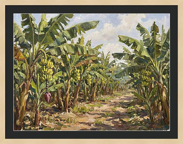 Banana Plantation Serenity