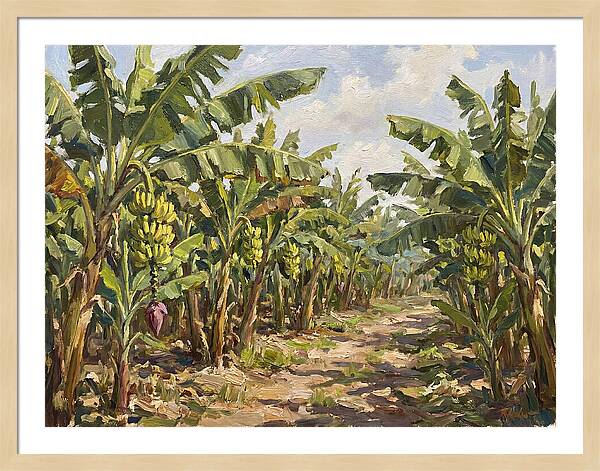 Banana Plantation Serenity