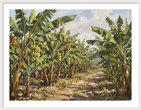 Banana Plantation Serenity