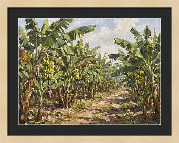 Banana Plantation Serenity