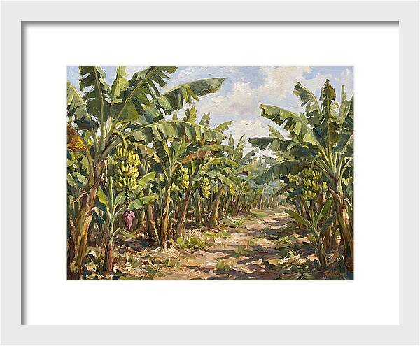 Banana Plantation Serenity
