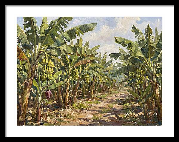 Banana Plantation Serenity