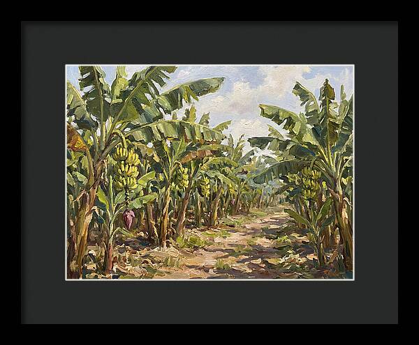Banana Plantation Serenity