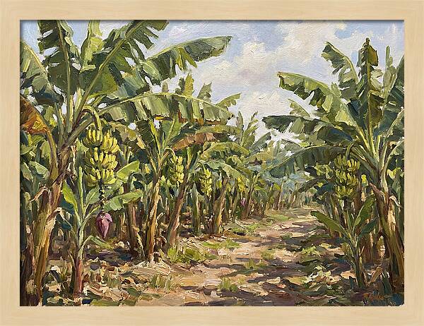 Banana Plantation Serenity