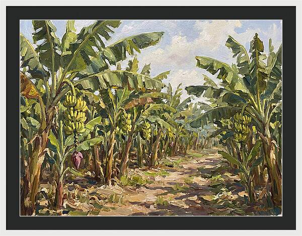 Banana Plantation Serenity