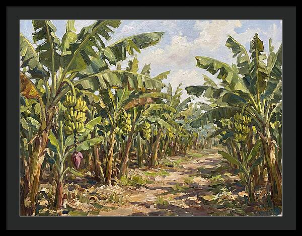 Banana Plantation Serenity