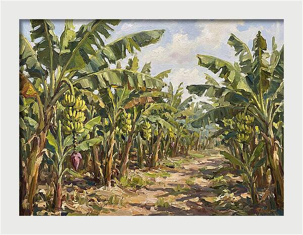 Banana Plantation Serenity
