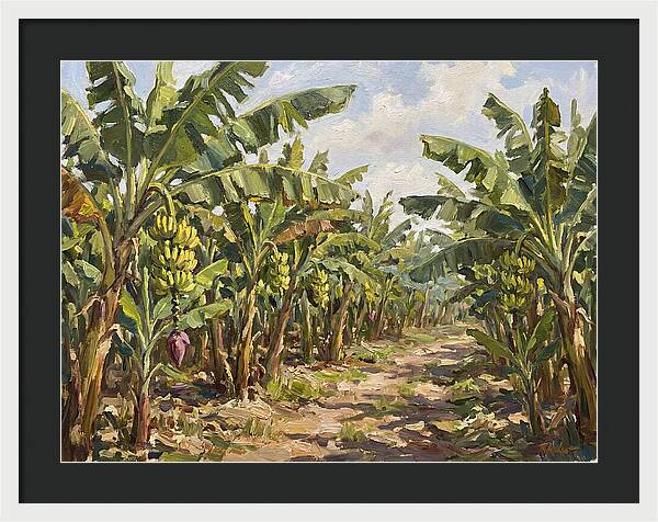 Banana Plantation Serenity