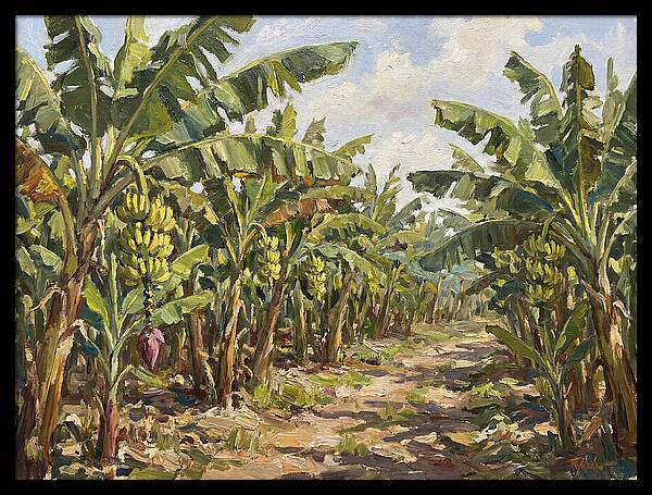 Banana Plantation Serenity