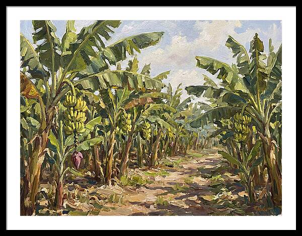 Banana Plantation Serenity