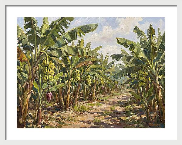 Banana Plantation Serenity