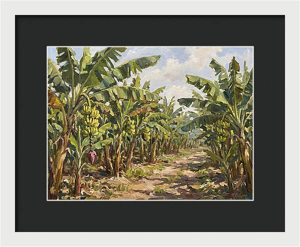 Banana Plantation Serenity