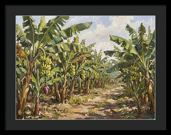 Banana Plantation Serenity