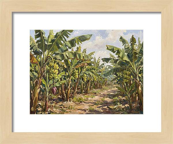 Banana Plantation Serenity