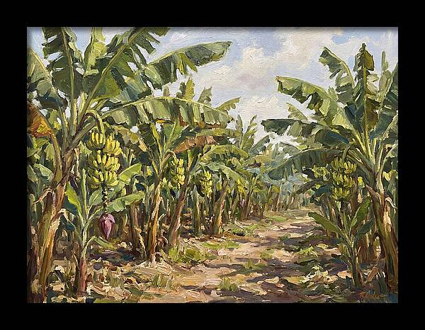 Banana Plantation Serenity