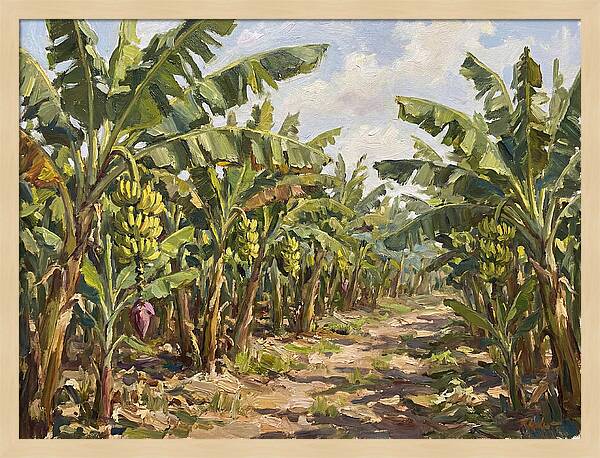 Banana Plantation Serenity