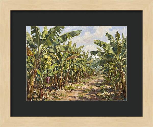 Banana Plantation Serenity