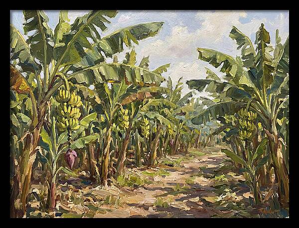 Banana Plantation Serenity