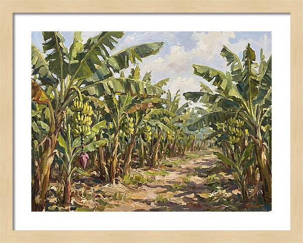 Banana Plantation Serenity