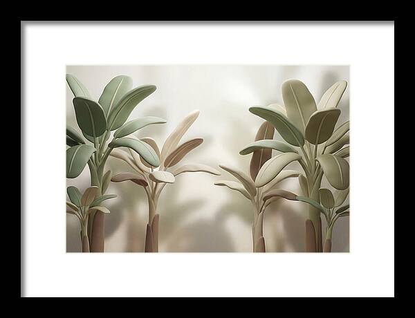 Banana Plants In Grove