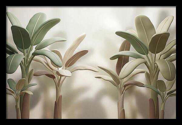 Banana Plants In Grove