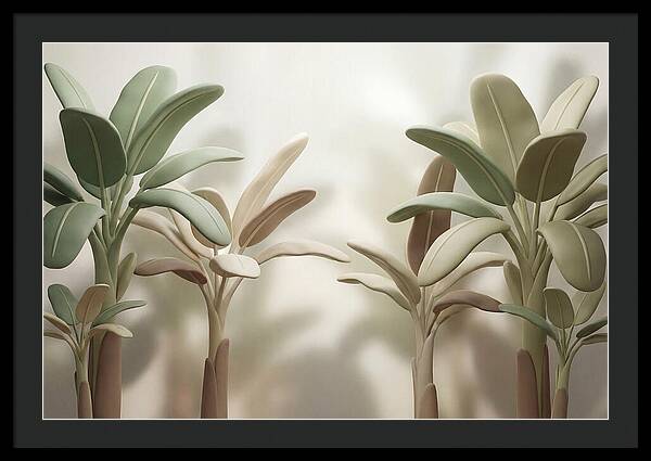 Banana Plants In Grove