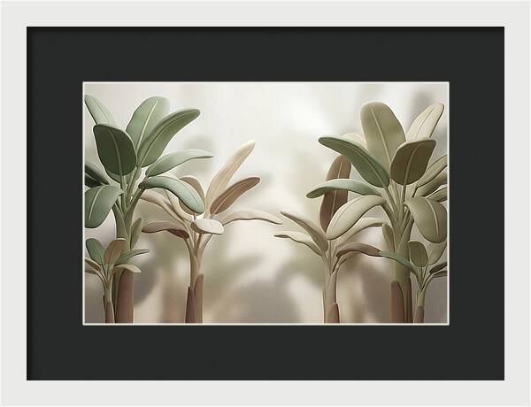Banana Plants In Grove