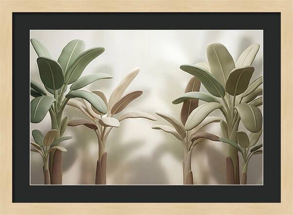 Banana Plants In Grove