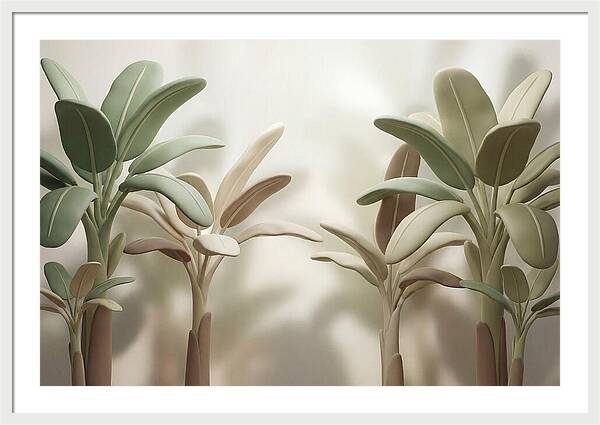 Banana Plants In Grove