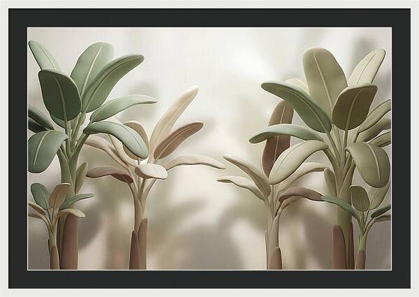 Banana Plants In Grove