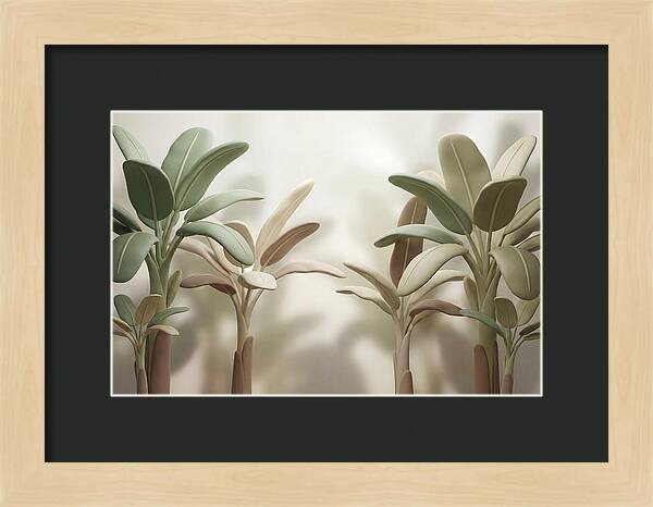 Banana Plants In Grove