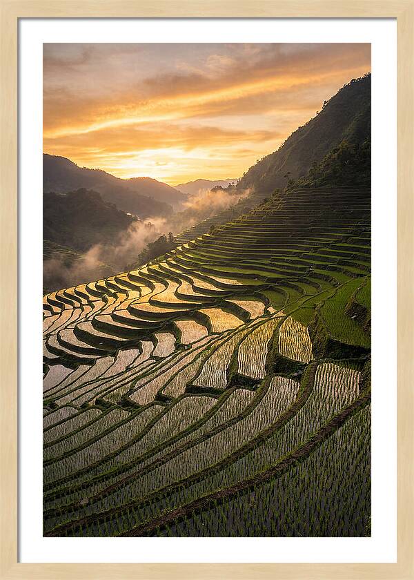 Banaue Rice Terraces At Golden Hour