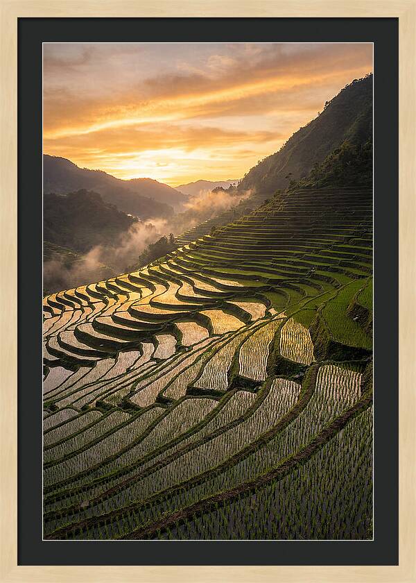 Banaue Rice Terraces At Golden Hour