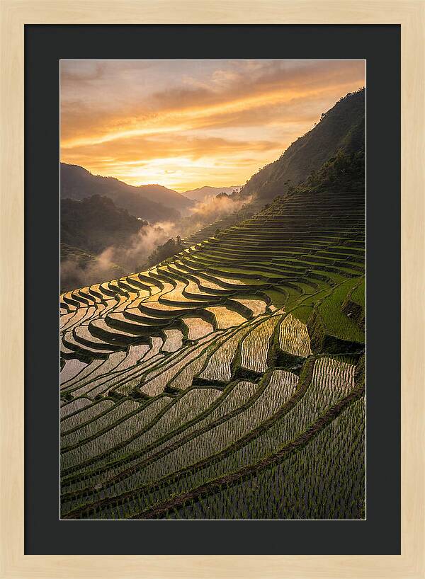 Banaue Rice Terraces At Golden Hour