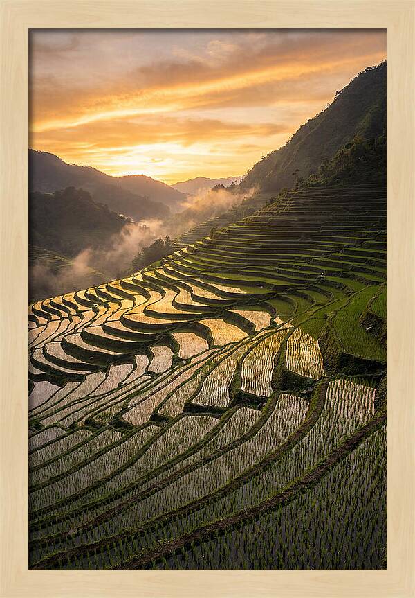 Banaue Rice Terraces At Golden Hour