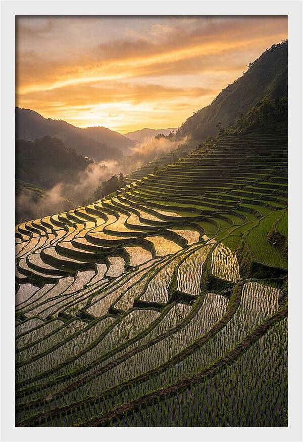 Banaue Rice Terraces At Golden Hour