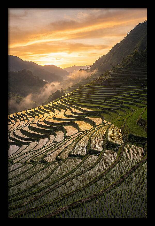 Banaue Rice Terraces At Golden Hour