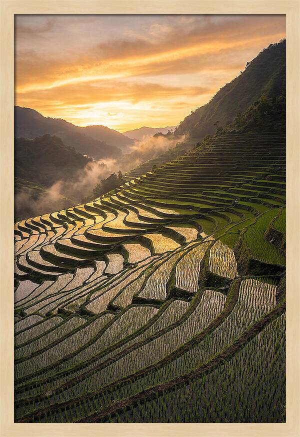 Banaue Rice Terraces At Golden Hour