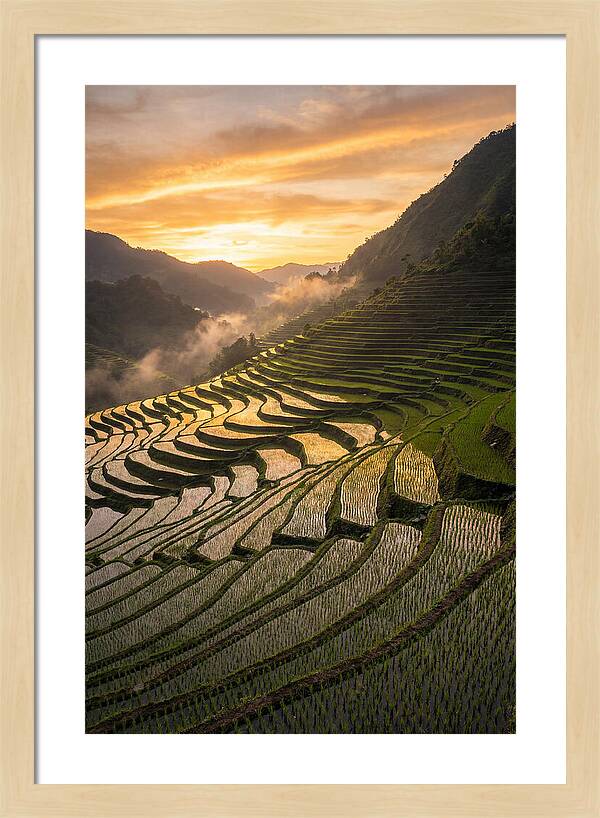 Banaue Rice Terraces At Golden Hour