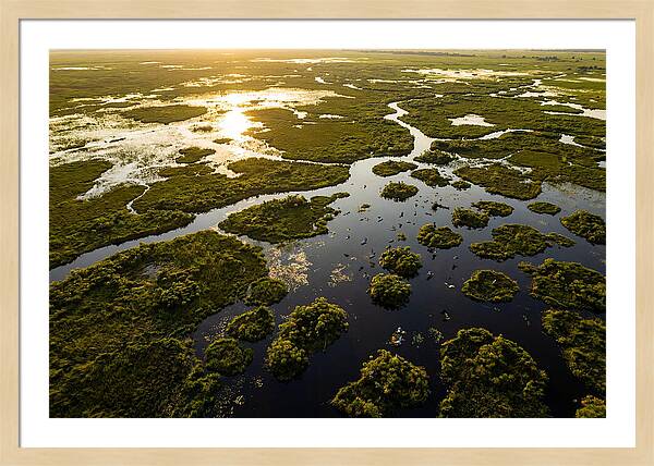 Bangweulu Wetlands From Above