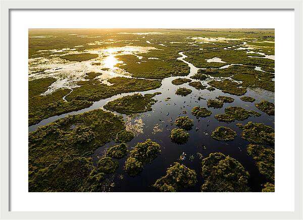 Bangweulu Wetlands From Above