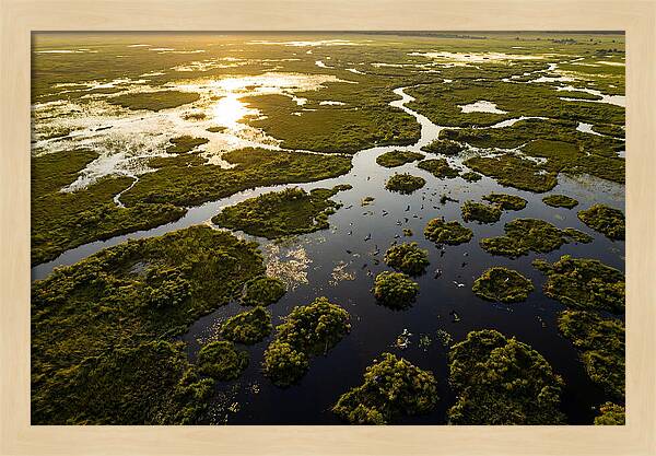 Bangweulu Wetlands From Above